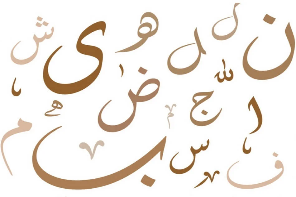 Arabic Language Courses : From Beginner to Advanced